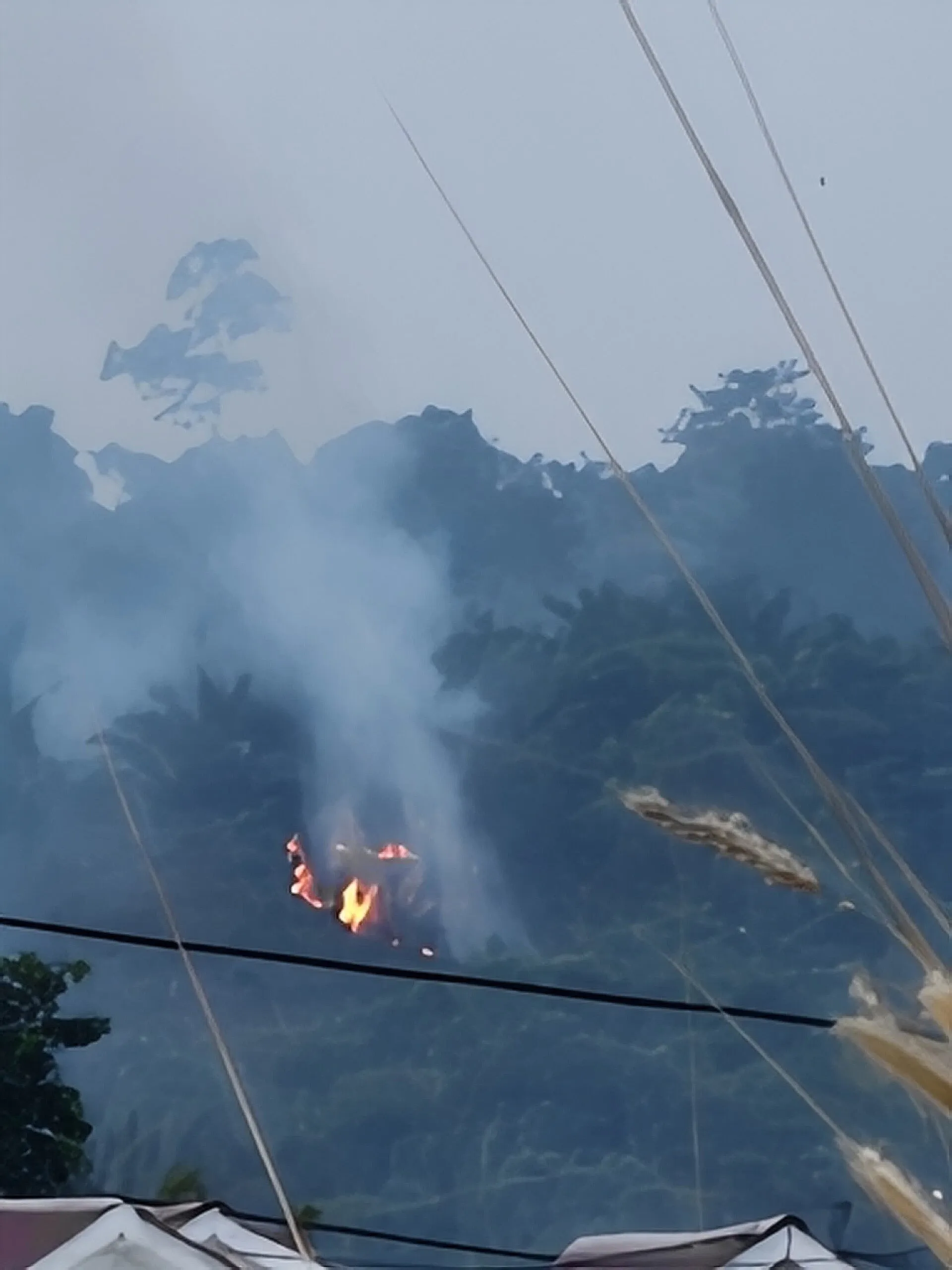 Forest fire in Berau